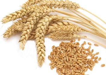 Фото компании ООО Агро Партнер 2