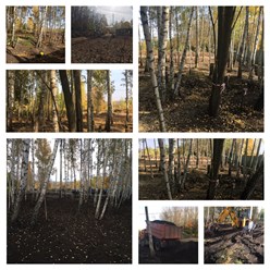 Фото компании  "Покос-спил" 9