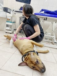 Фото компании  Ваш-ветврач 3