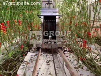 Фото компании ООО Группа A7 15