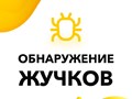 Обнаружение скрытых жучков и прослушки