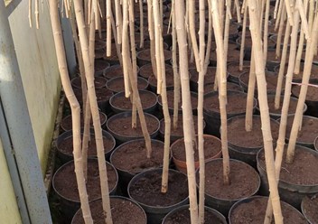 Фото компании  Исида Парк 2