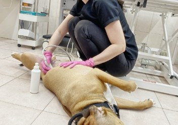 Фото компании  Ваш-ветврач 3