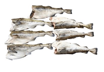 Инспекция Треска ПБГ