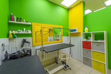 Фото компании  ВертиХвостка 1