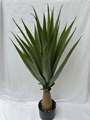 Фото компании ООО FanFlowers.shop 1