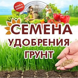 Фото компании  Хозяйственный сектор 1