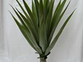 Фото компании ООО FanFlowers.shop 1