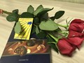 Фото компании  Развитие 4