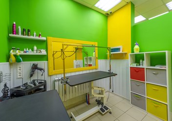 Фото компании  ВертиХвостка 1