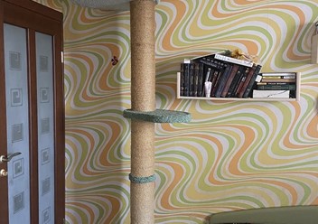 Столбик под потолок. Лежанка-когтеточка