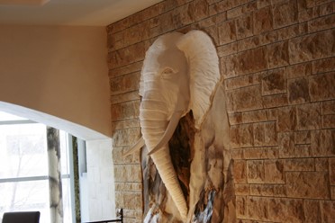 Фото компании  Elephant, кафе-бар 19