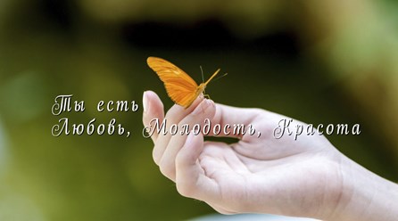 Фото компании ООО Натали Новак 1