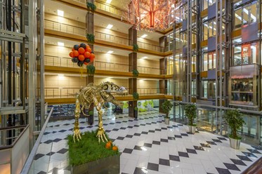 Фото компании  ALFA real estate 8