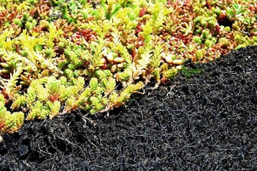 Фото компании ООО Roofcoat 43