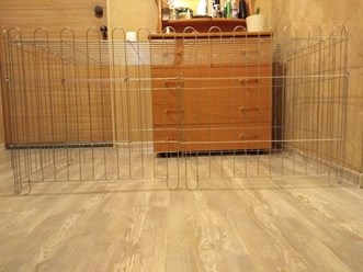 Фото компании ООО СмартДог24 8