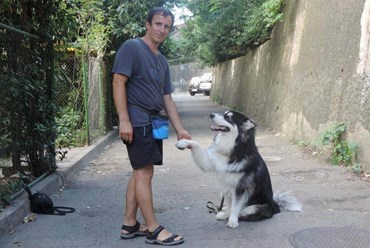 Дрессировка собак  в Ялте. Кинолог Руслан тел. +7(978)-01-777-18 Более подробную информацию о нас смотрите на сайте:  http://www.kinolog-rf.ru/