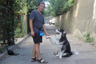 Дрессировка собак  в Ялте. Кинолог Руслан тел. +7(978)-01-777-18 Более подробную информацию о нас смотрите на сайте:  http://www.kinolog-rf.ru/