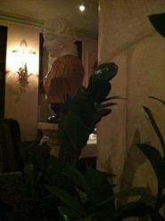 Фото компании  Accenti 12