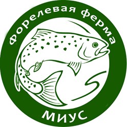 ферма по выращиванию форели