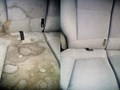 Фото компании ИП Мир Свежести 4