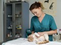 Фото компании ООО Белый Бим на Пловдинской 1