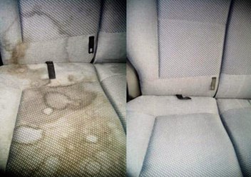 Фото компании ИП Мир Свежести 4