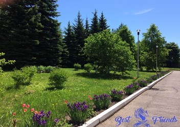 Фото компании  Бест Френдс 2