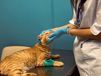 Фото компании  ПЛАНЕТА 23