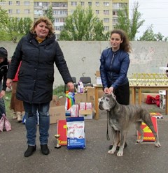 Фото компании  Питомник "Della Valle Dei Tigri" 14