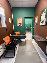 Наша зона ресепшн, где осмотрят вашего котика перед заселением и оформят все необходимые документы.