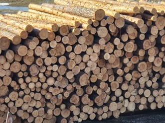 Фото компании ООО «Лестехстрой» 60