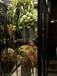 Фото компании ИП Jardin Botanique 8