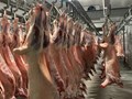 Фото компании ООО Глобус 4