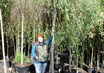 Фото компании ООО Россельхозпитомник 1