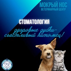 Фото компании ООО Мокрый нос 7