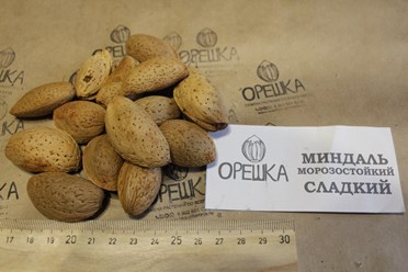 Фото компании ИП Орешка Питомник 6