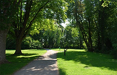 Фото компании  «GAZON GROUP». 2