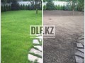 Фото компании ООО Семена газона DLF.KZ 5