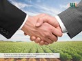 Услуги в области маркетинга, продвижения и сбыта сельскохозяйственной продукции