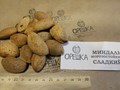 Фото компании ИП Орешка Питомник 6