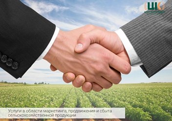 Услуги в области маркетинга, продвижения и сбыта сельскохозяйственной продукции