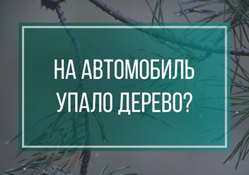 Фото компании ООО Смарт-Финанс 5