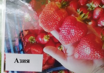 Азия