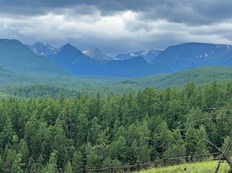 Фото компании  Алтайские Корни 5