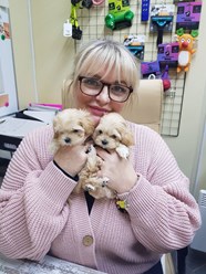 Фото компании ООО Планета 6