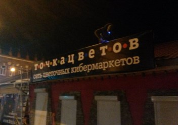 Банер точка цветов