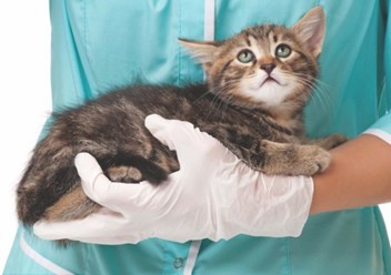 Фото компании ИП Добрый Друг 2