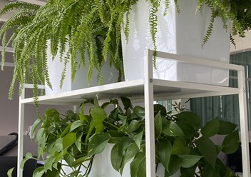 Фото компании  Botanic balance 6