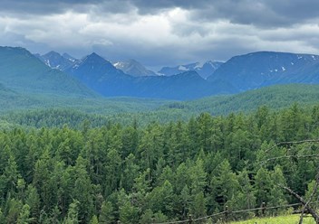 Фото компании  Алтайские Корни 5